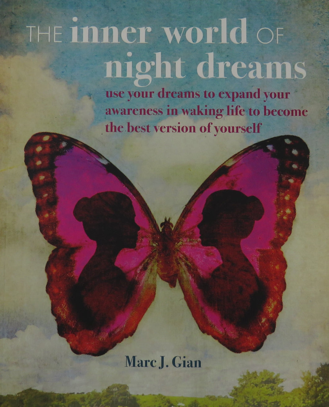 The inner world of night dreams: Use your dreams to expand your awareness in waking life to become the best version of yourself