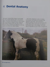 Load image into Gallery viewer, Understanding the Horse&#39;s Teeth and Mouth
