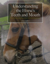 Load image into Gallery viewer, Understanding the Horse&#39;s Teeth and Mouth
