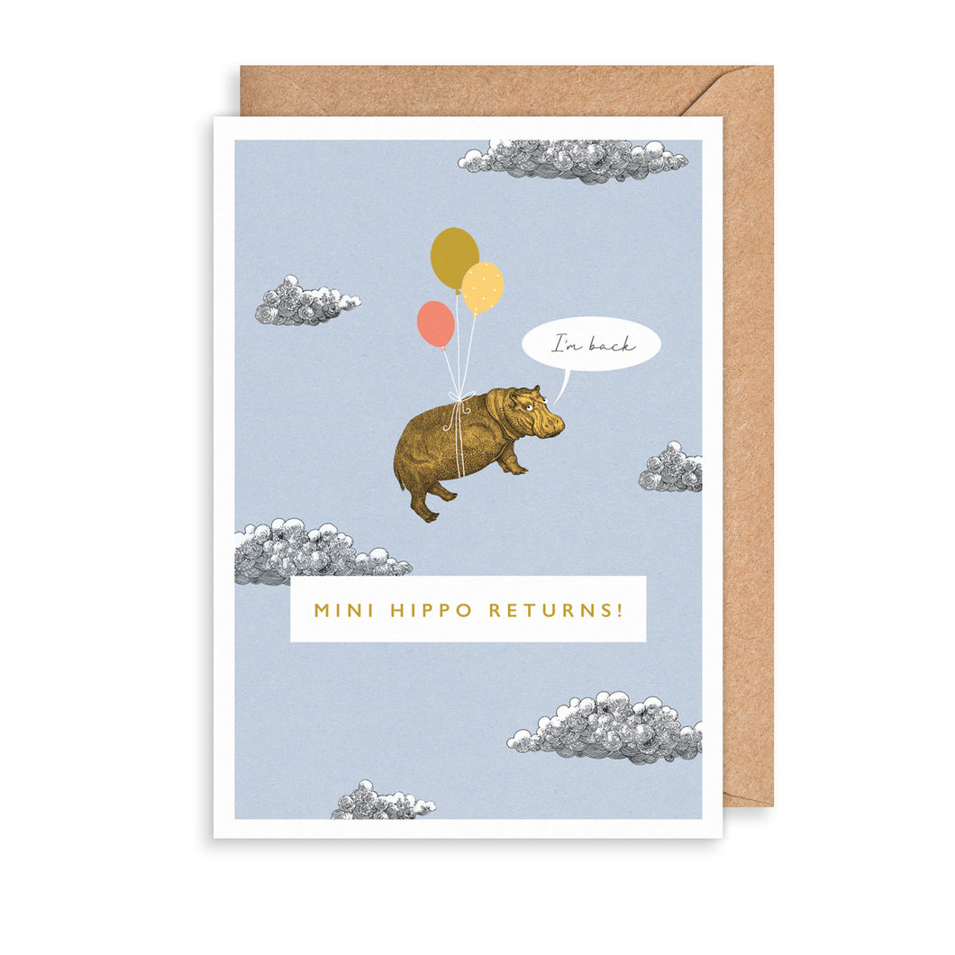 Mini Hippo Returns!