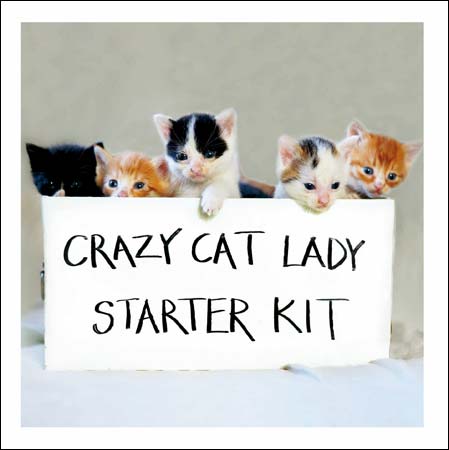 Crazy Cat Lady Starter Kit