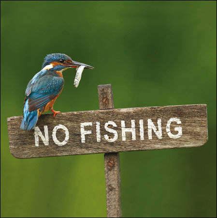 No Fishing