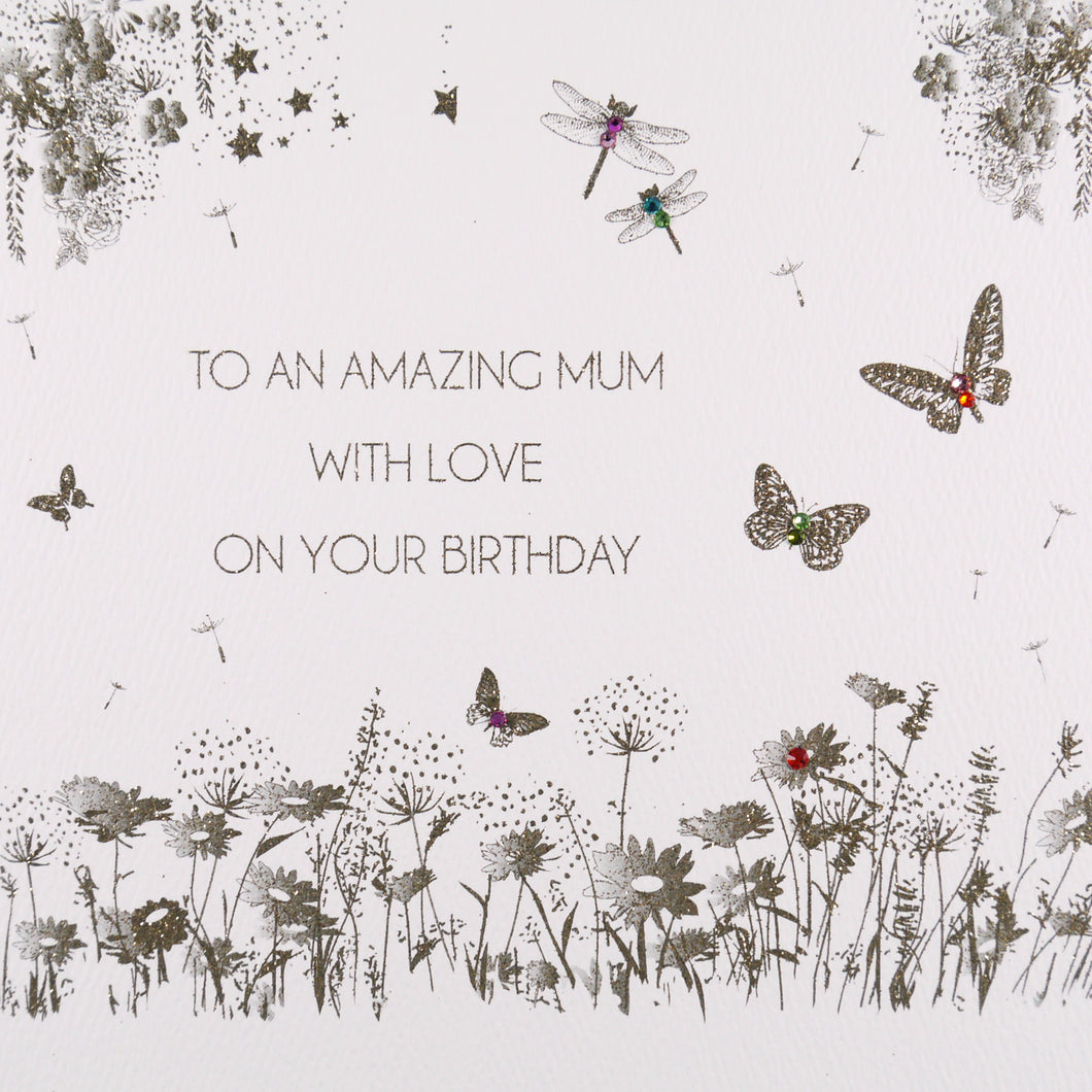 To an amazing Mum with love on your birthday