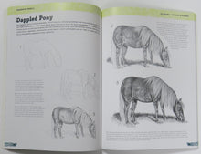 Load image into Gallery viewer, Art Studio: Horses &amp; Ponies: More than 50 projects and techniques for drawing and painting sample page 
