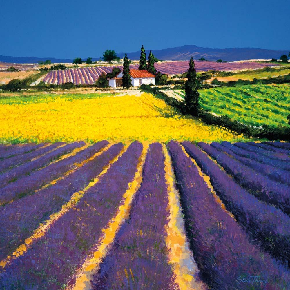 Lavender Fields, 5 cards of 1 design with envelopes