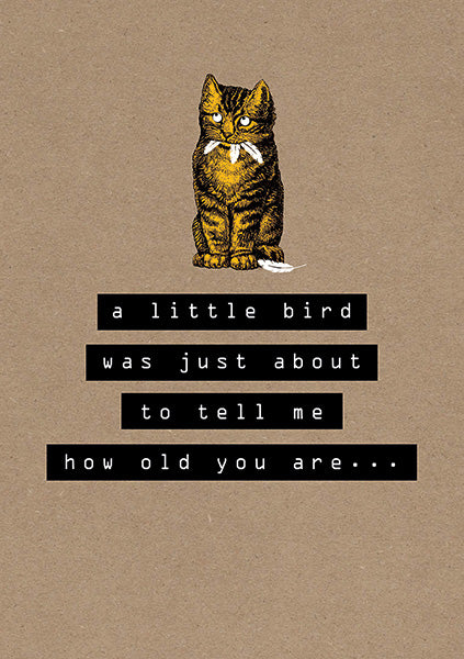 a little bird was just about to tell me how old you are